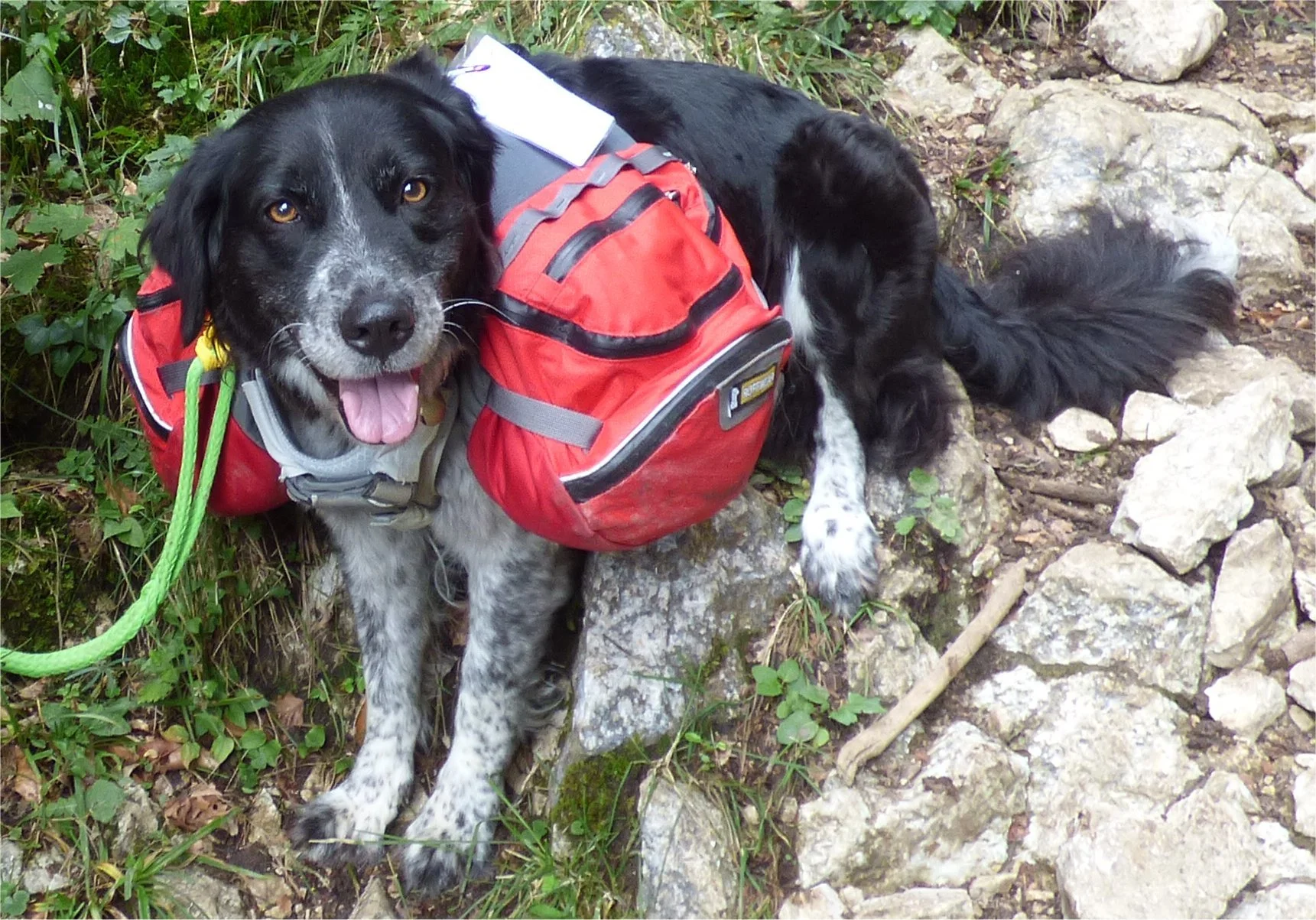 © DAV Wolfratshausen