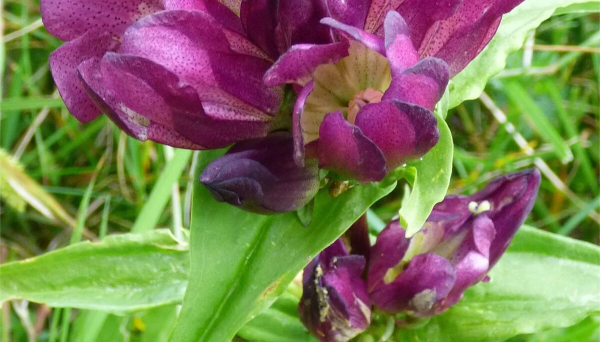 © DAV Wolfratshausen