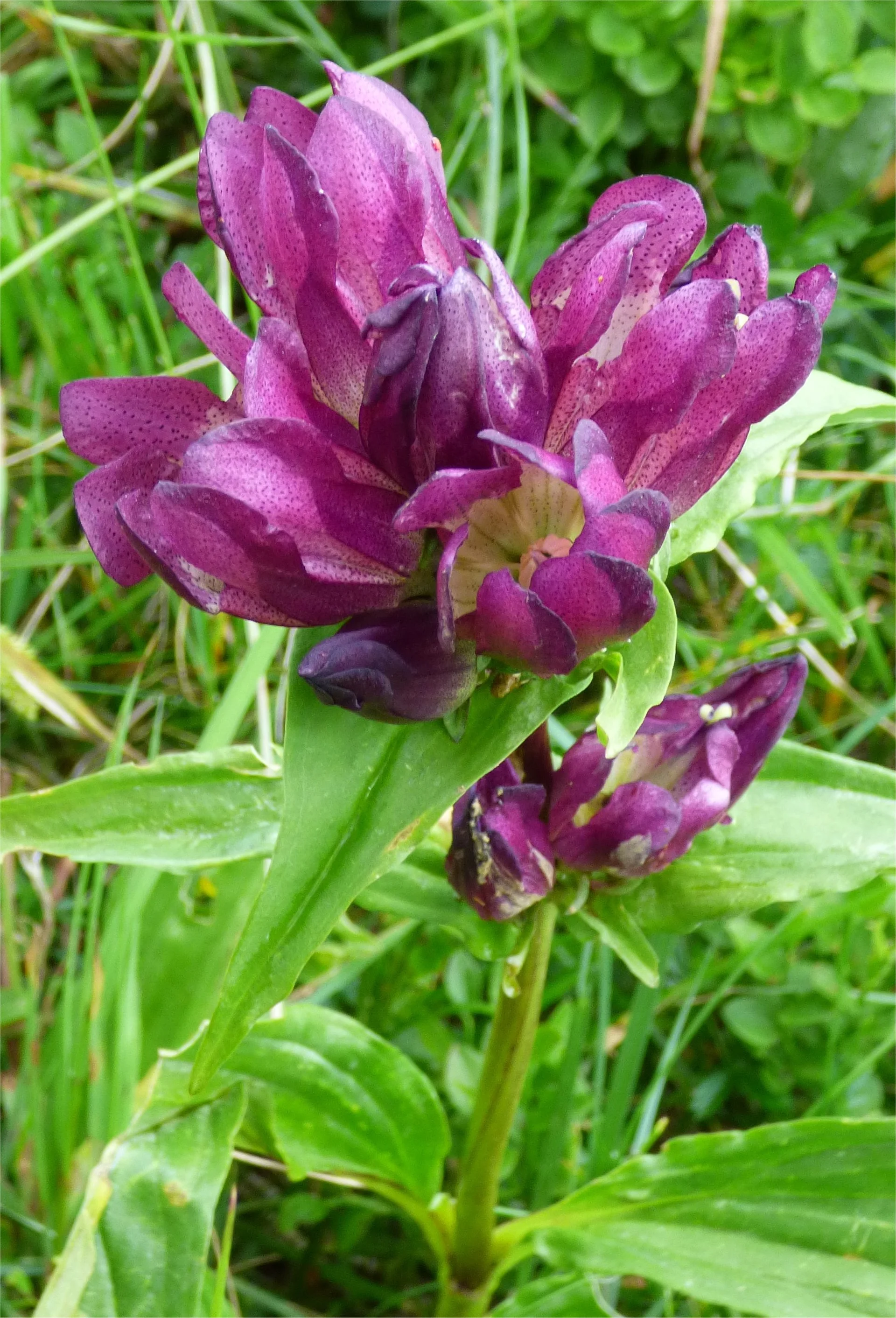 © DAV Wolfratshausen