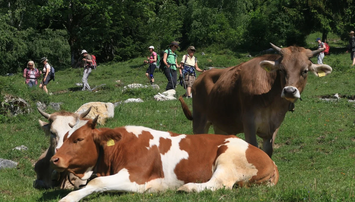 © DAV Wolfratshausen