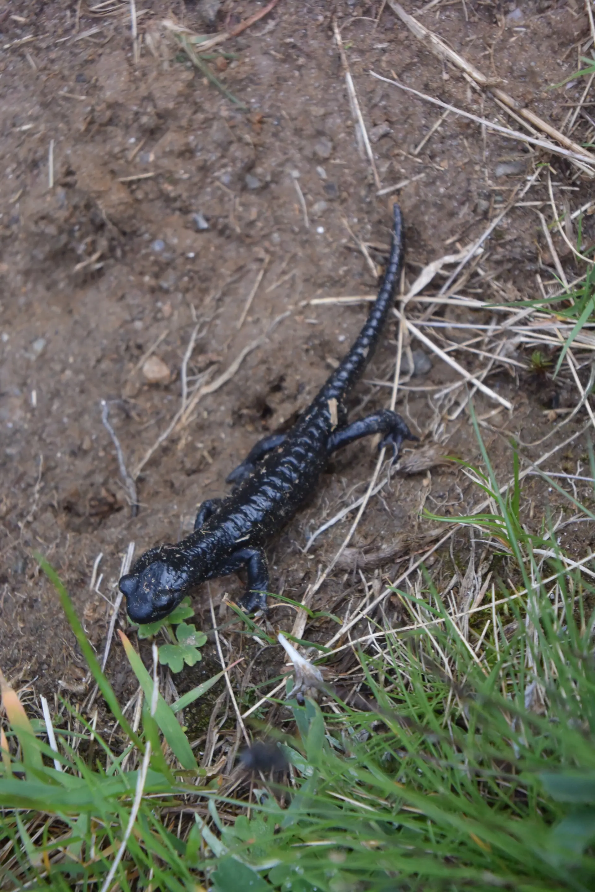 © DAV Wolfratshausen