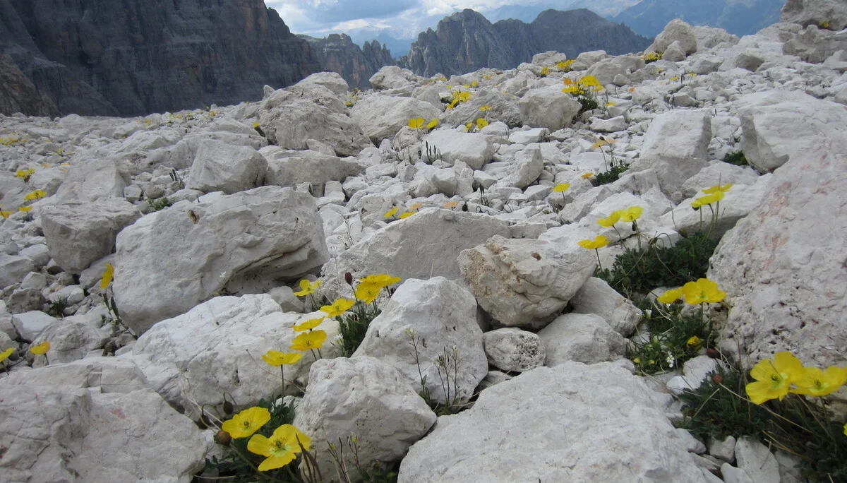 © DAV Wolfratshausen