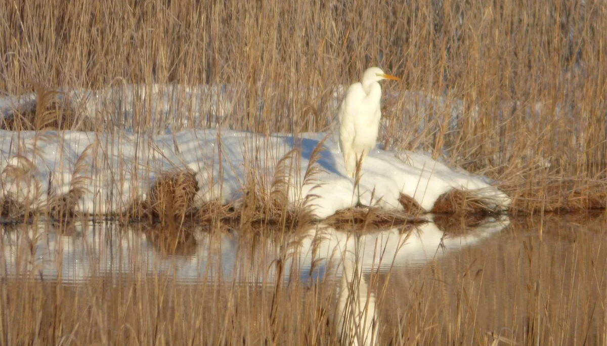 © DAV Wolfratshausen