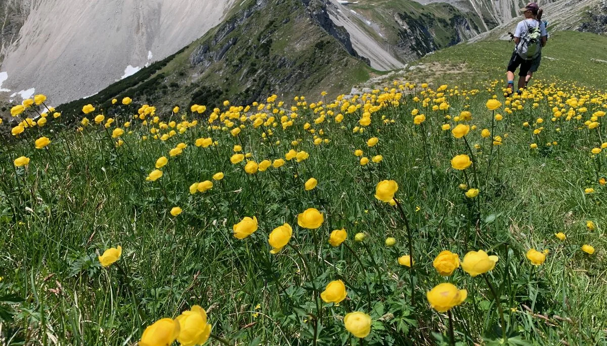 © DAV Wolfratshausen