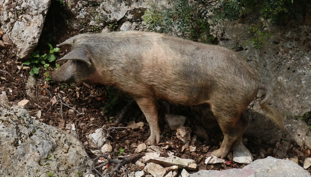 © DAV Wolfratshausen