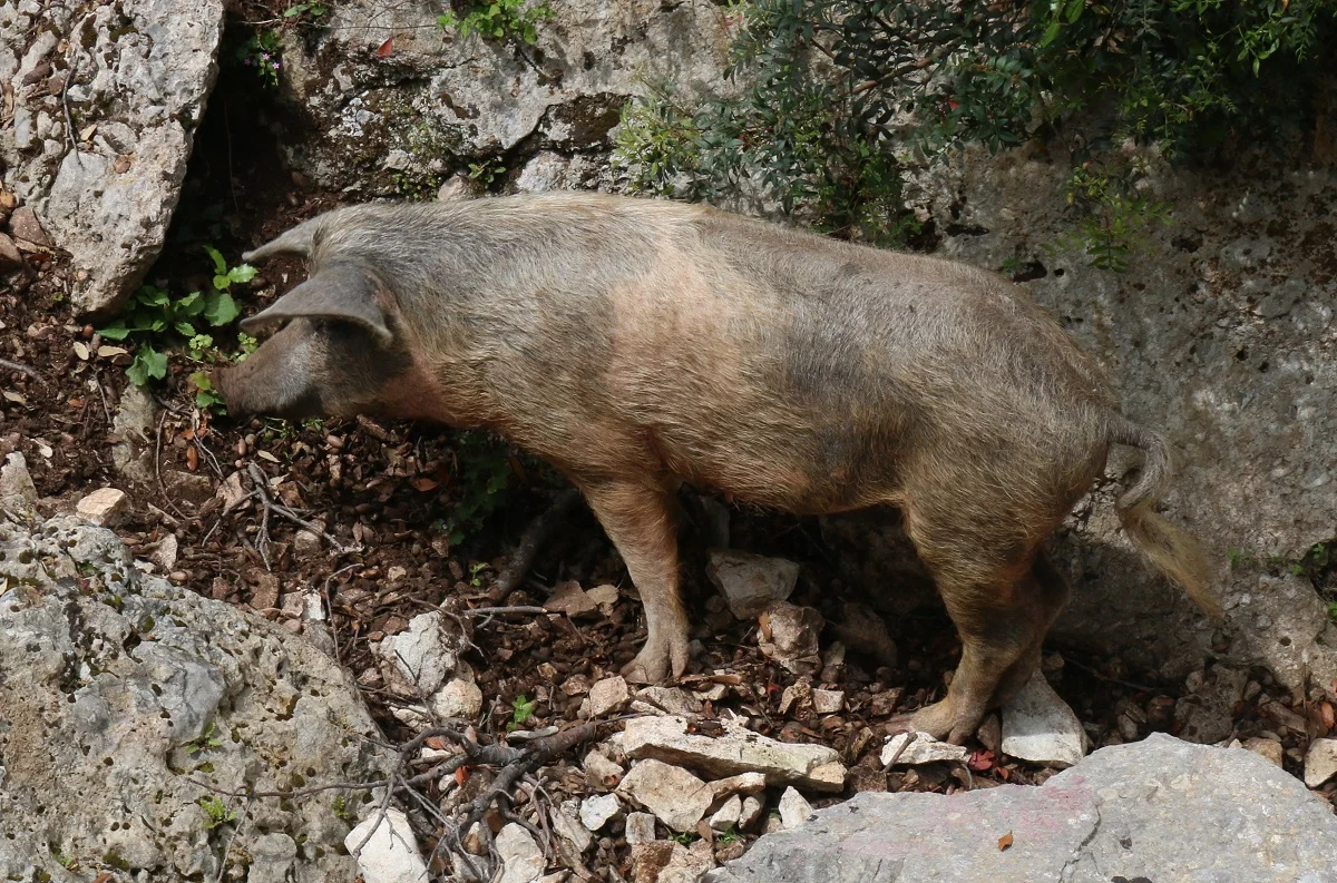 © DAV Wolfratshausen