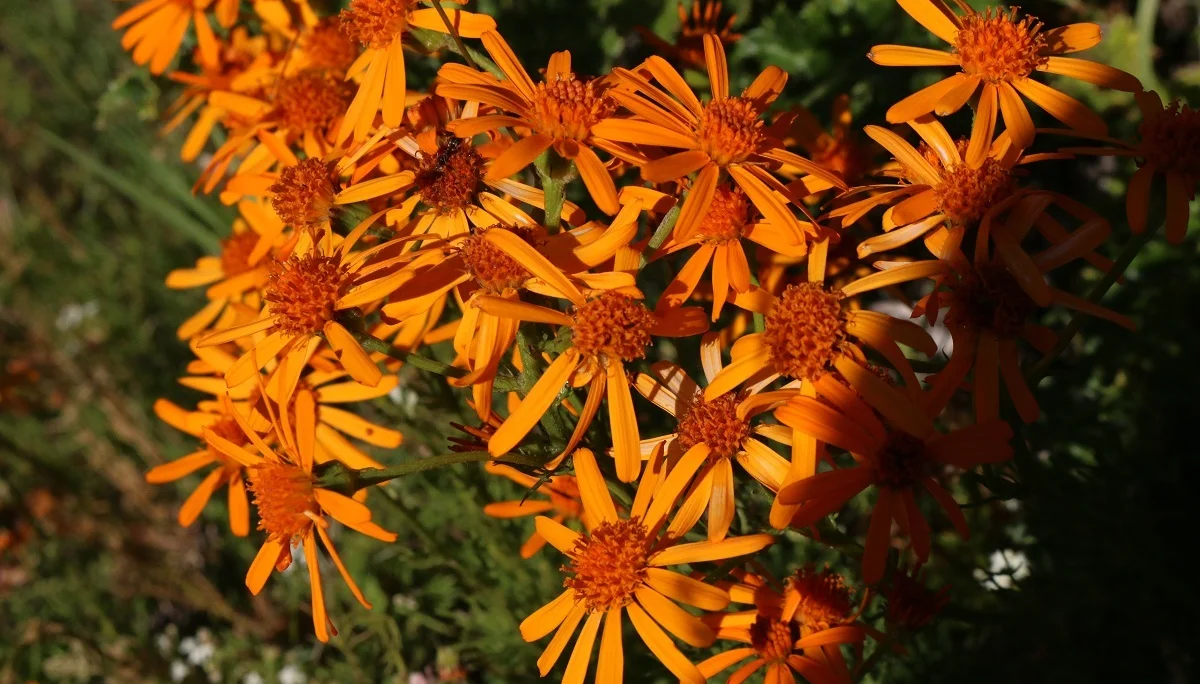 © DAV Wolfratshausen