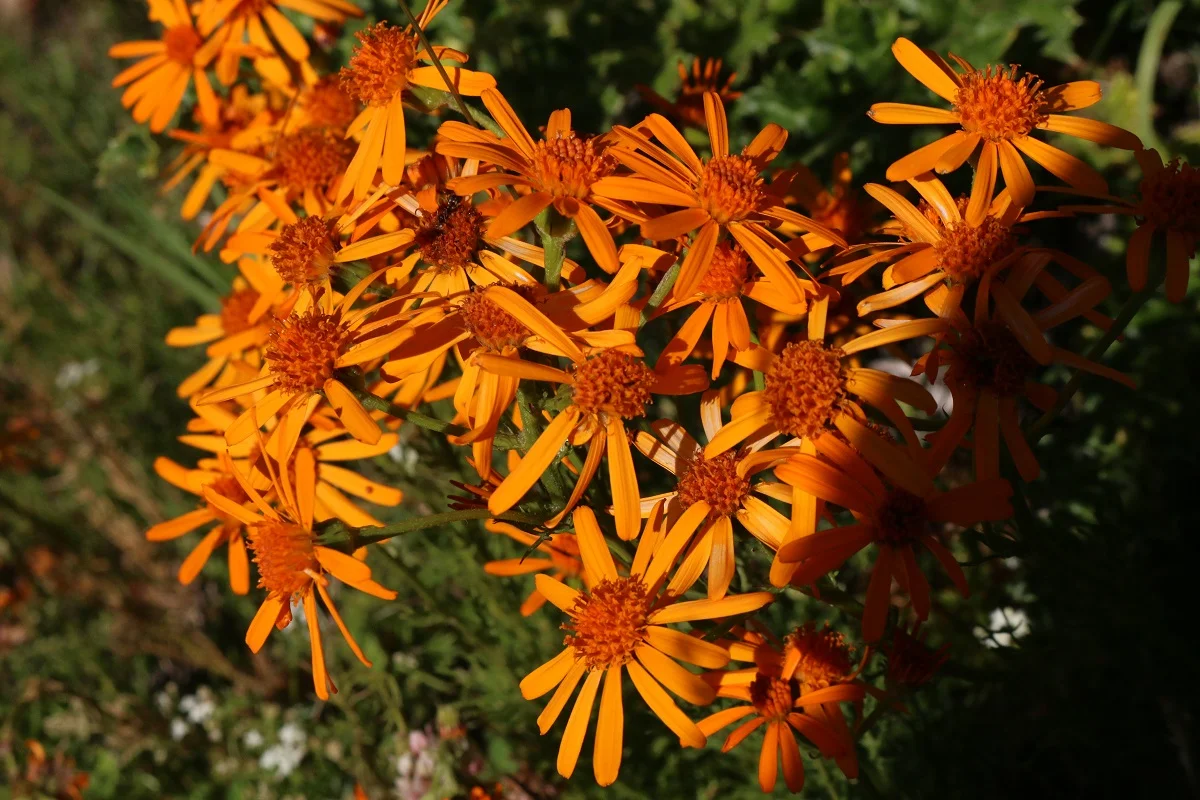 © DAV Wolfratshausen