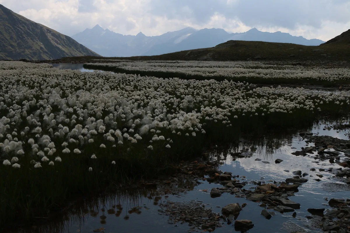 © DAV Wolfratshausen