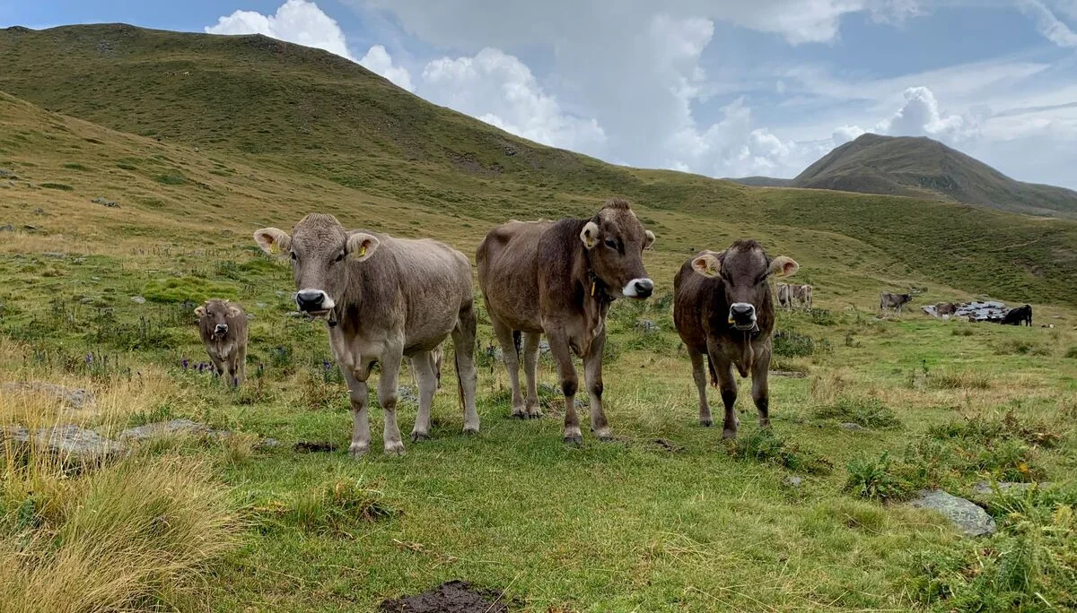 © DAV Wolfratshausen