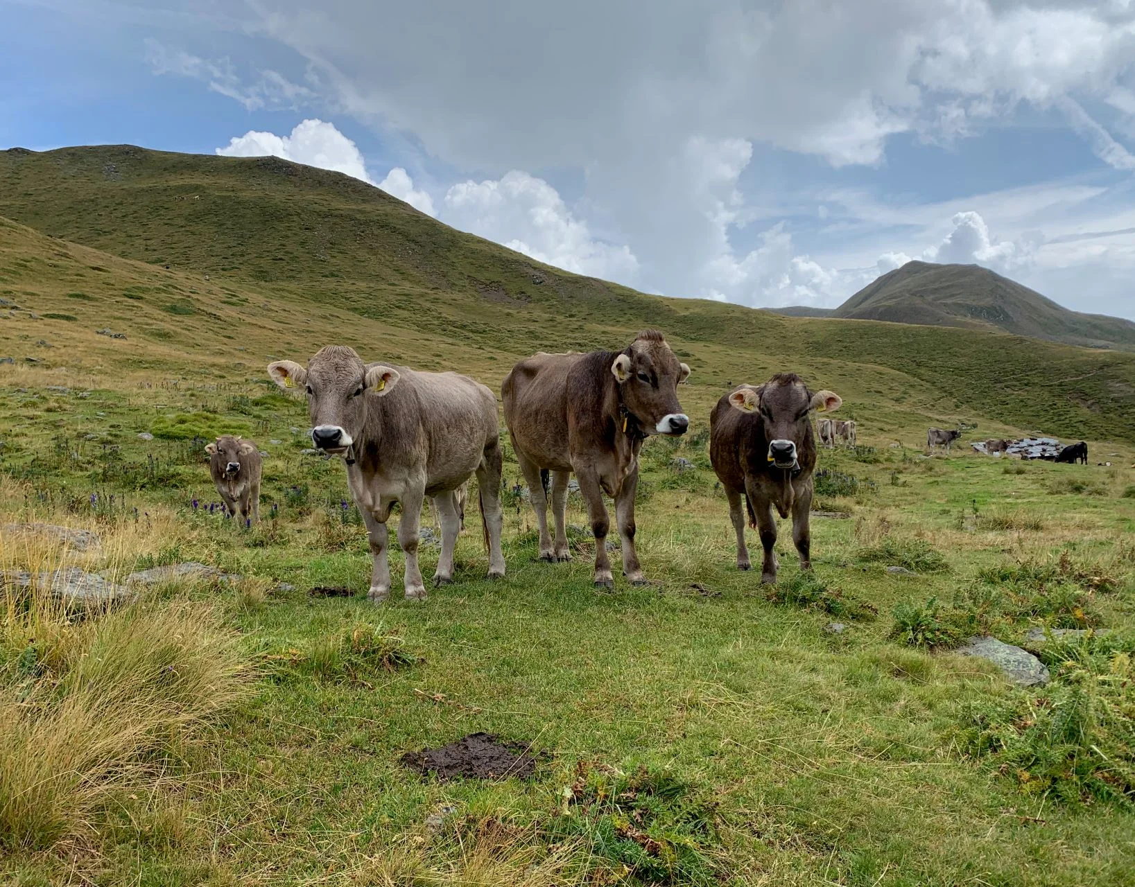 © DAV Wolfratshausen