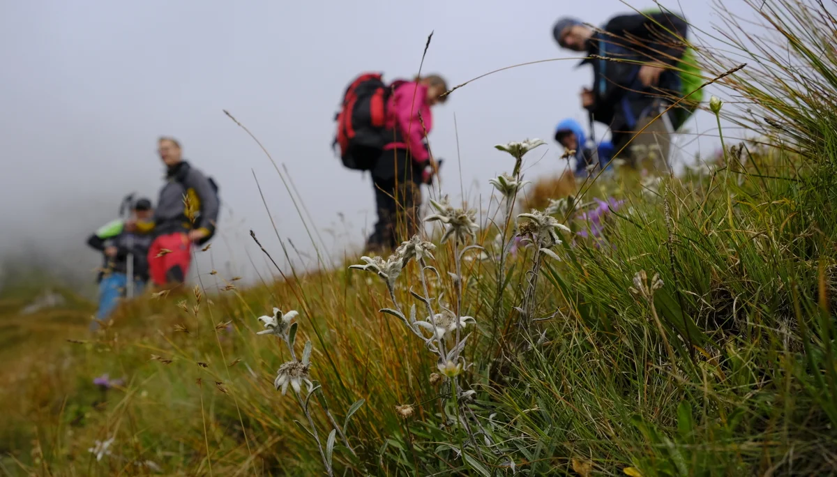 © DAV Wolfratshausen