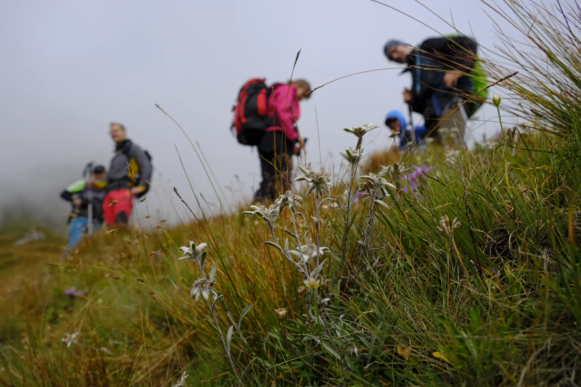 © DAV Wolfratshausen