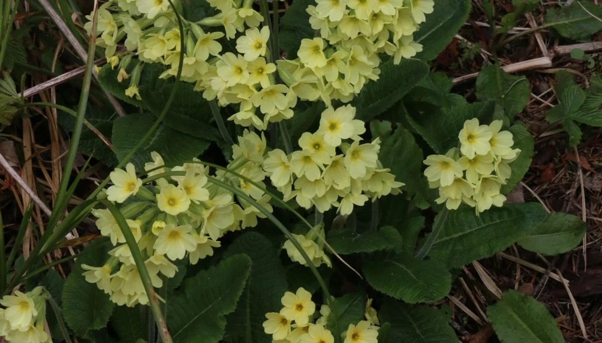 © DAV Wolfratshausen