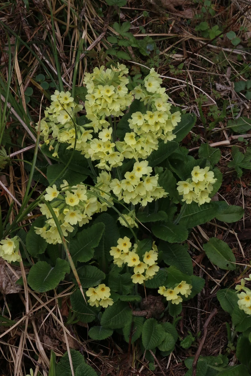 © DAV Wolfratshausen