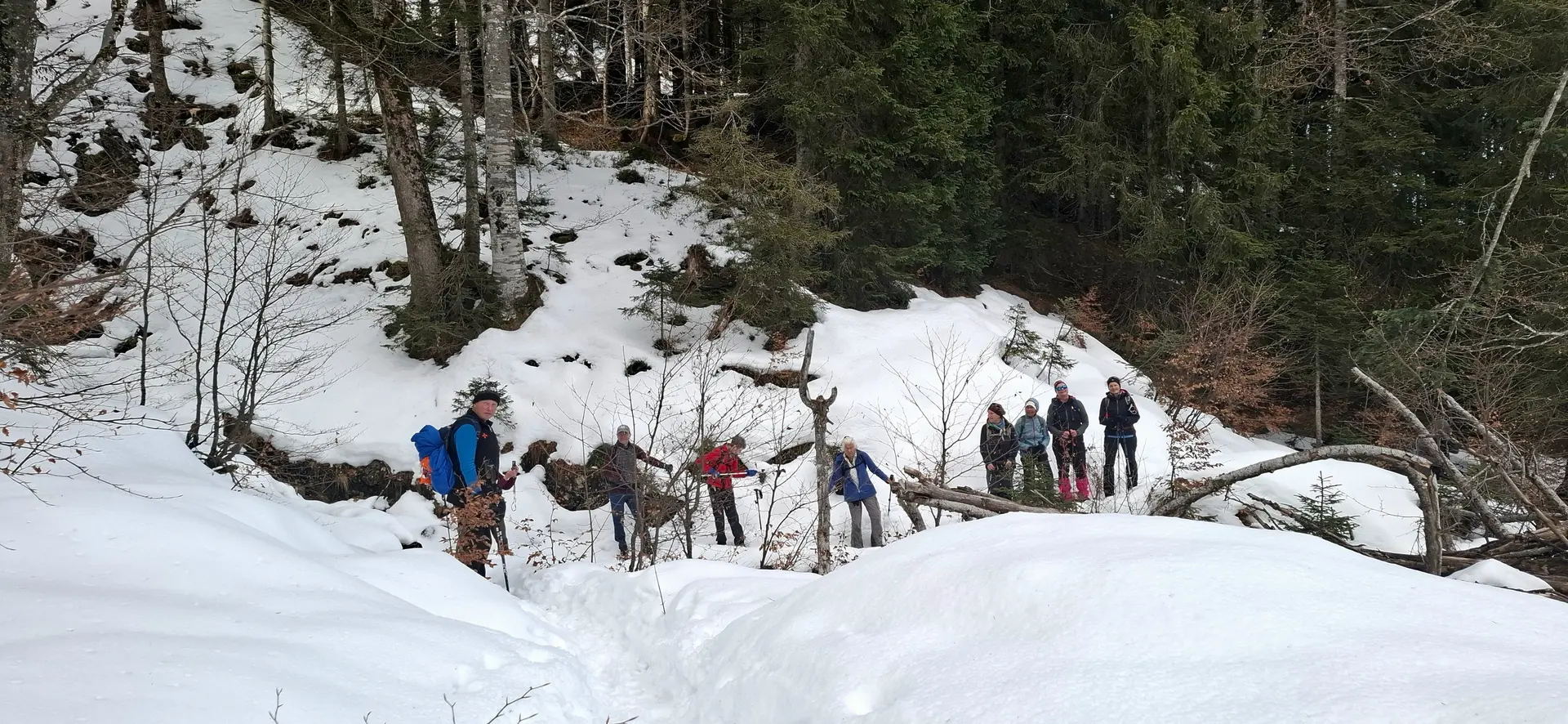 Abstieg zur Kotalm | © Sabine Kresta