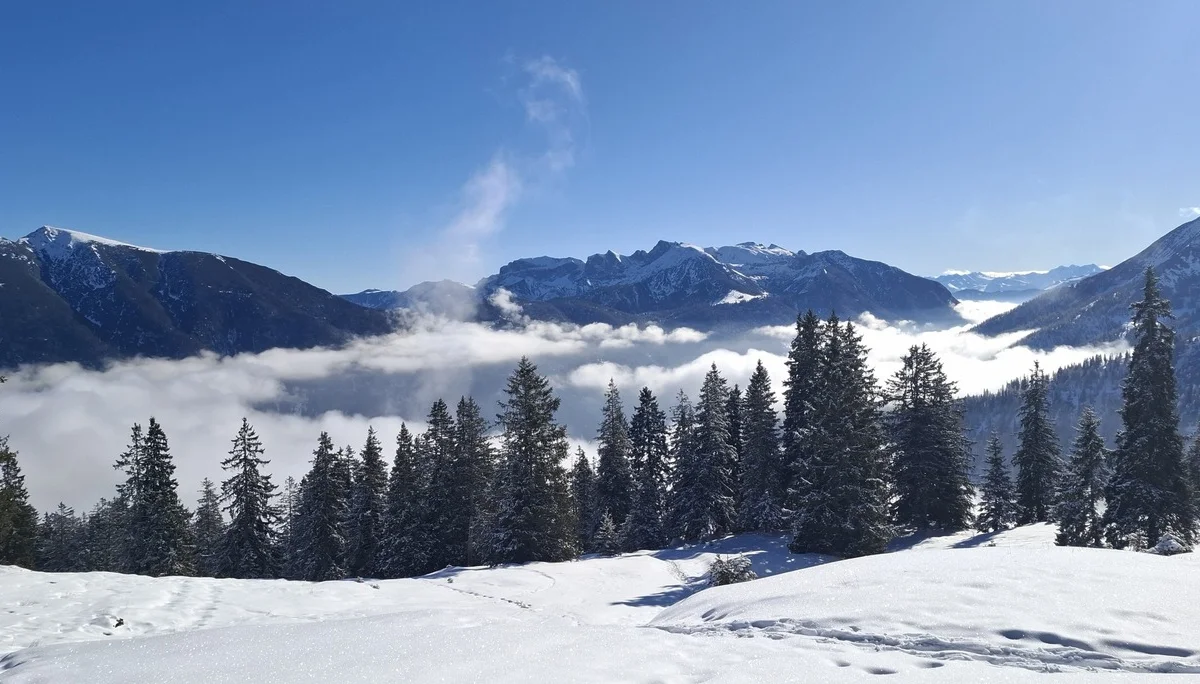 Winterwunderland | © Sabine Kresta