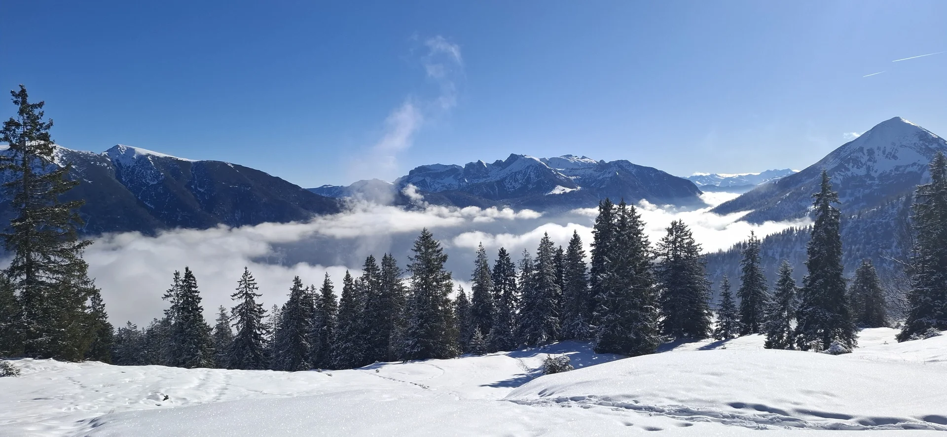 Winterwunderland | © Sabine Kresta